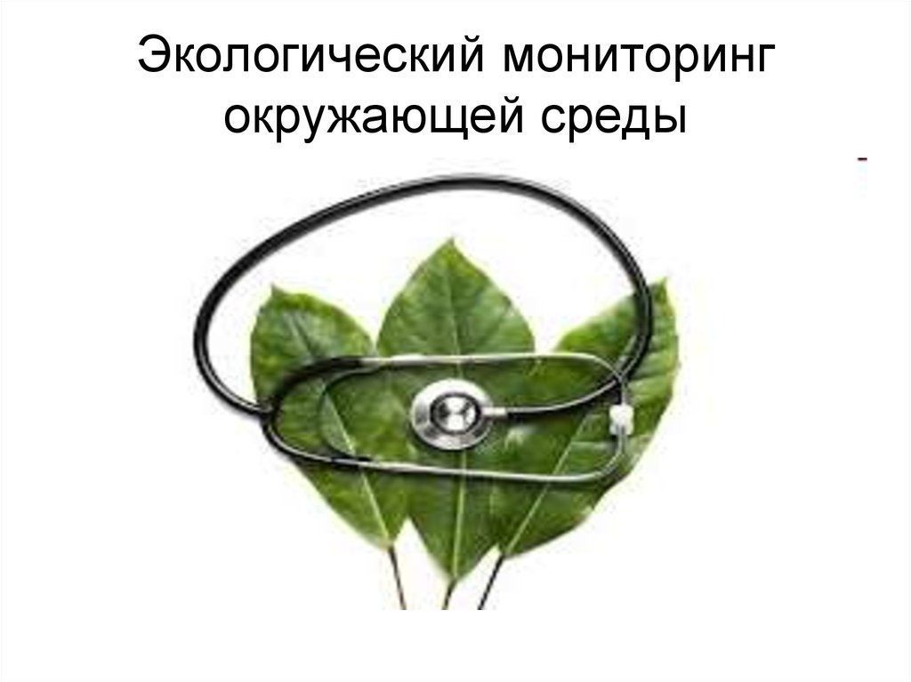 Экологический мониторинг окруж среды.jpg
